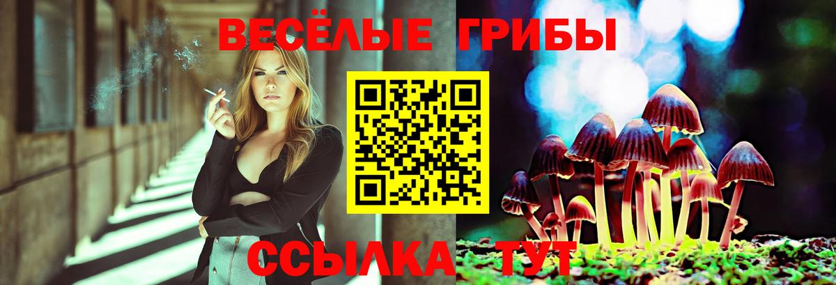 Галлюциногенные грибы прущие грибы  Вход с VPN  Новочеркасск  Галлюциногенные грибы Cubensis 